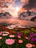 Winter Mountains And Flowers