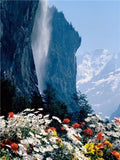 Flowers And Mountains