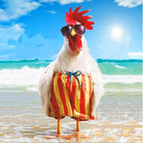 Summer Chicken