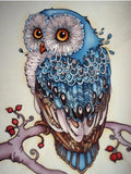 Blue Owl