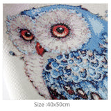 Blue Owl