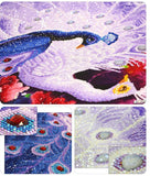 Peacock Couple