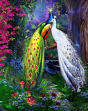 Peacock Love