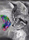 Cat And Butterfly
