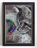 Cat And Butterfly