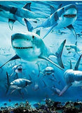 Sharks