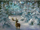 Winter Deer