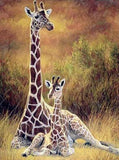 Giraffes