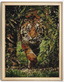 Emerging Tiger