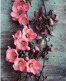 Pink Flowers