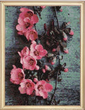 Pink Flowers