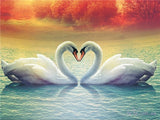 Love Swans