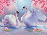 White Swans
