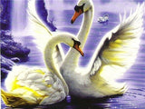 Golden Swans
