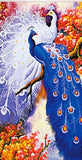Peacock Couple