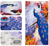Peacock Couple
