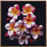 Beautiful Flower
