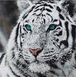 White Tiger