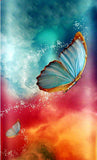 Butterfly Beauty