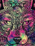 Wolf Eyes