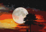 Full Moon Night