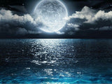 Beautiful Moon Night