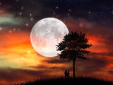 Full Moon Night