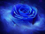 Rose Galaxy