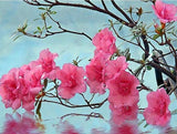 Pink Flowers