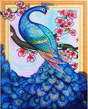 Peacock Embroidery