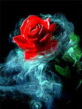 Flaming Rose